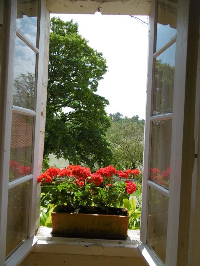 Pauliac Chambres D'Hotes Celles  Eksteriør bilde